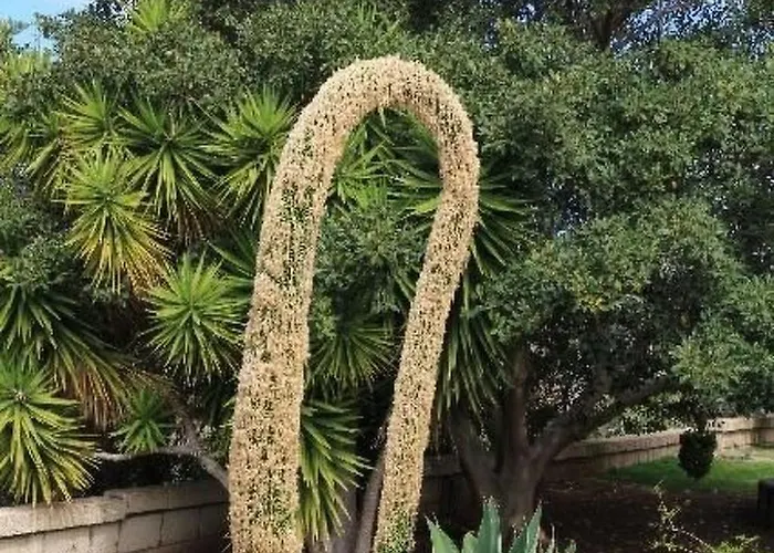 Casa Robinson By Interhome 吉亚德索拉